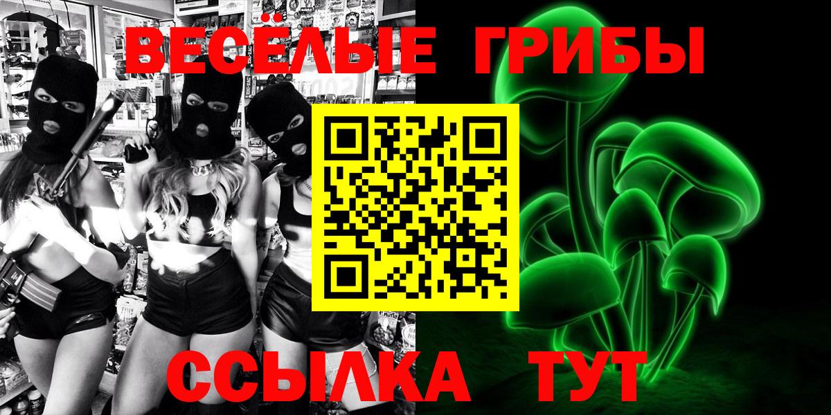Галлюциногенные грибы Cubensis Кировск
