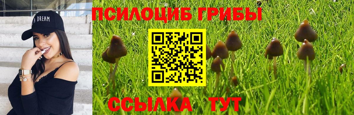 Кировск  Псилоцибиновые грибы ЛСД  Псилоцибиновые грибы мицелий  Вход с VPN 